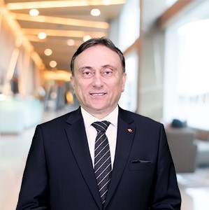 Prof. Dr. Ali Halıcı