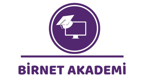 Birnet Akademi